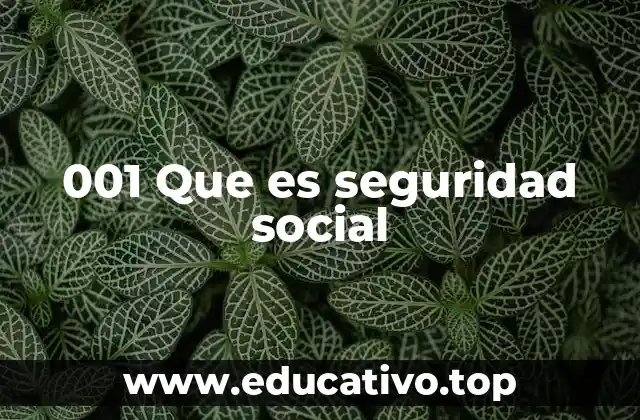 001 Que es seguridad social