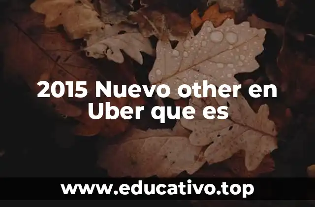 2015 Nuevo other en Uber que es