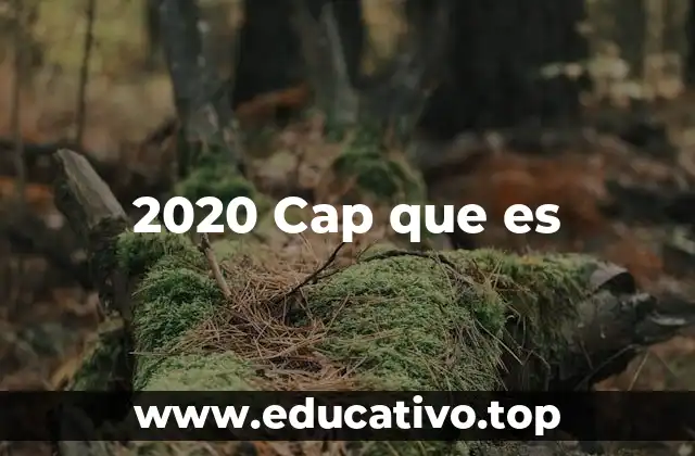 2020 Cap que es