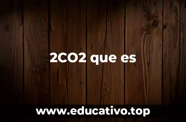 2CO2 que es
