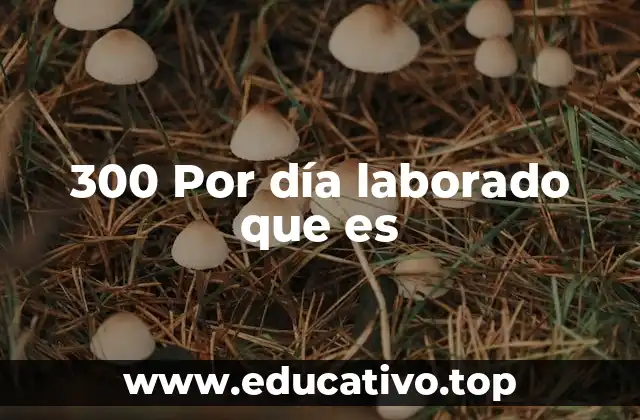 300 Por día laborado que es