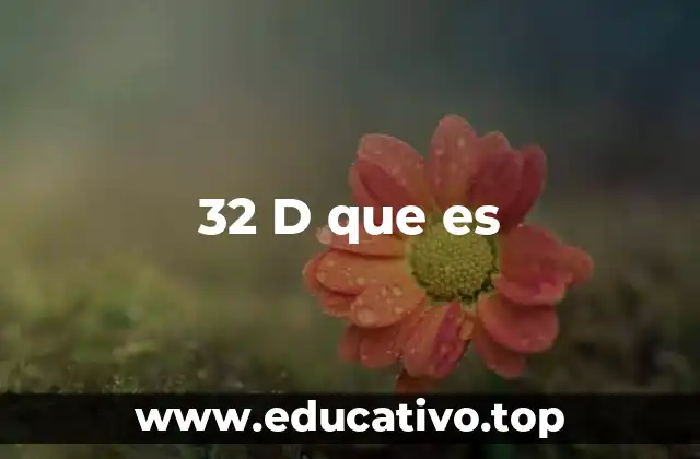 32 D que es