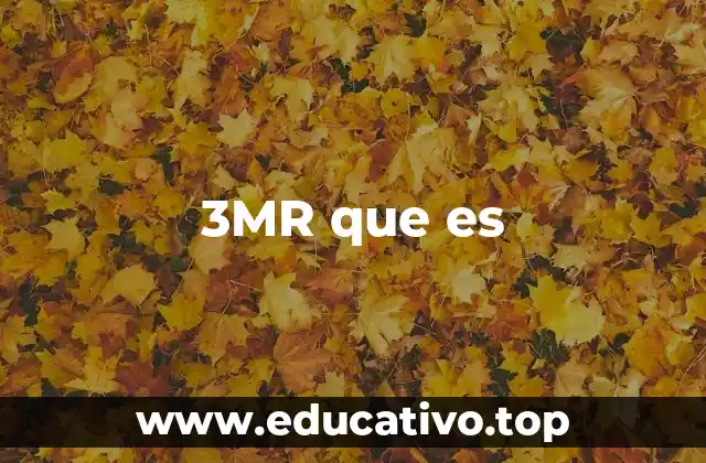 La importancia de entender qué significa 3MR