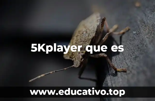 5Kplayer que es