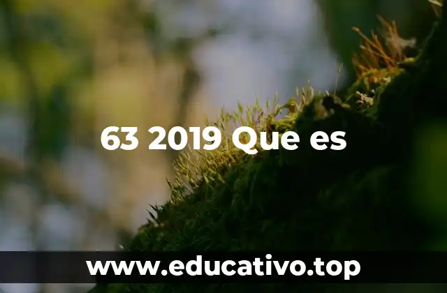 63 2019 Que es