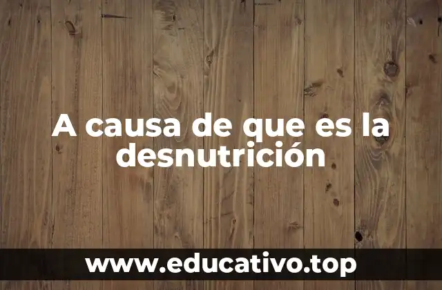 Causas y factores que contribuyen a la desnutrición