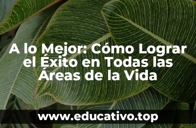 A lo Mejor: Cómo Lograr el Éxito en Todas las Áreas de la Vida