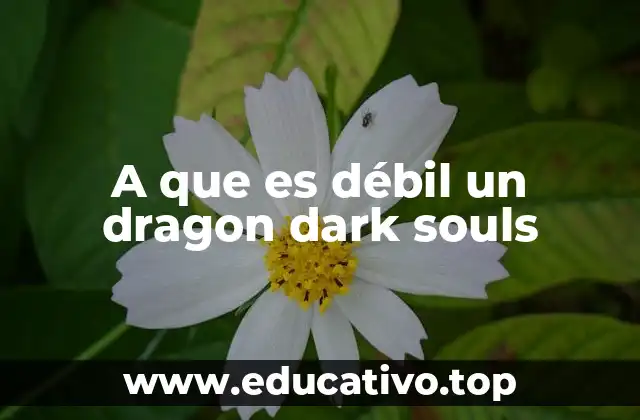 A que es débil un dragon dark souls