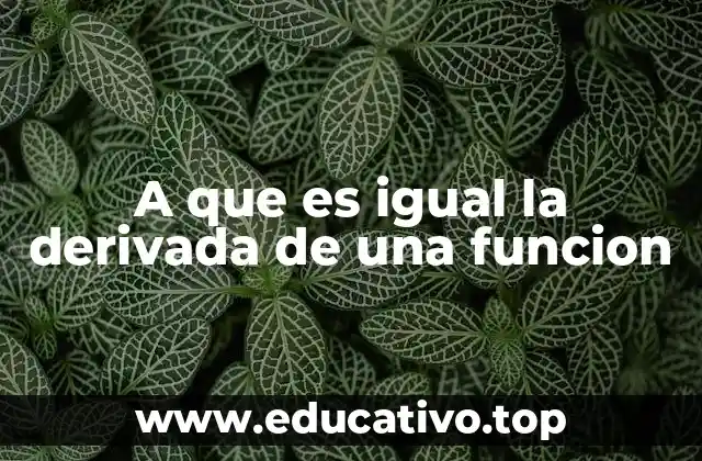 A que es igual la derivada de una funcion