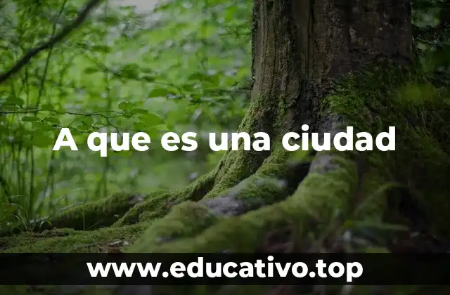 A que es una ciudad