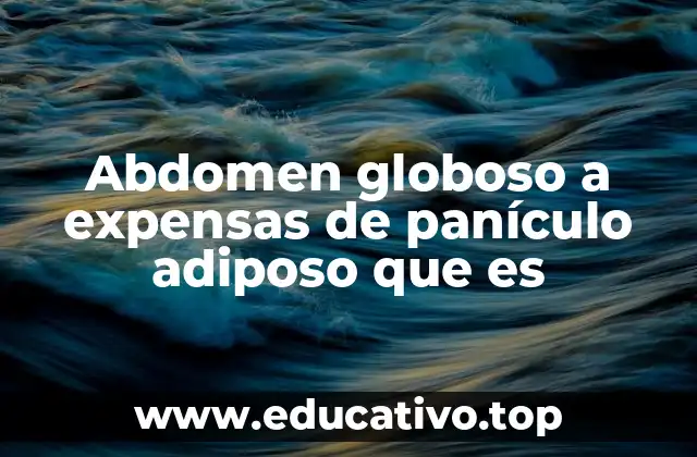 Abdomen globoso a expensas de panículo adiposo que es
