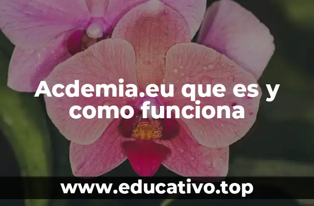Acdemia.eu que es y como funciona