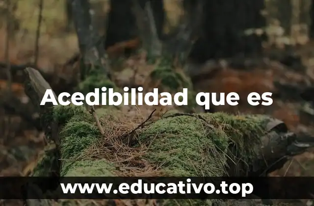 Acedibilidad que es