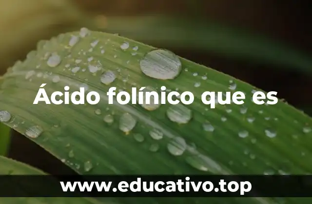 Ácido folínico que es