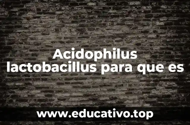 Acidophilus lactobacillus para que es