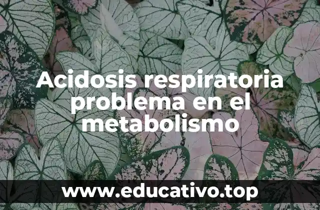Acidosis respiratoria problema en el metabolismo