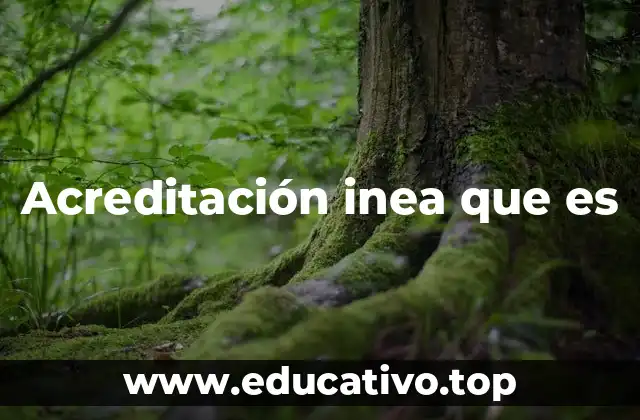 Acreditación inea que es