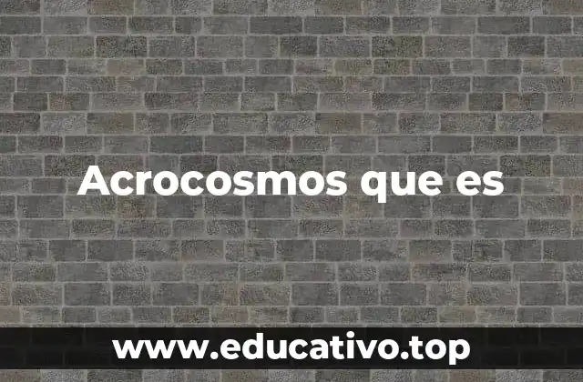 Acrocosmos que es
