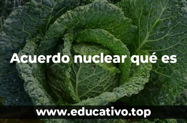 Acuerdo nuclear qué es