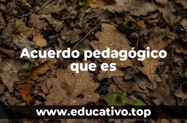 Acuerdo pedagógico que es