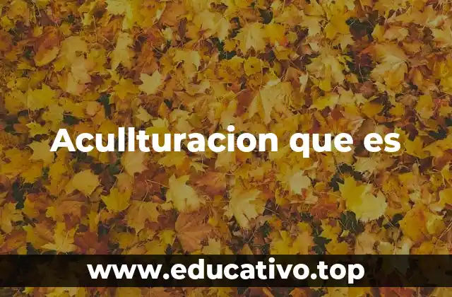 El impacto de la interacción cultural en la identidad personal