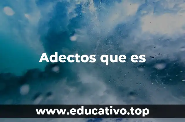 Adectos que es