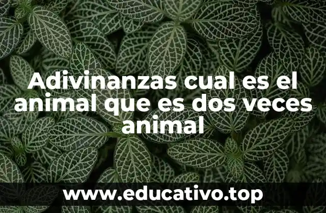 Adivinanzas cual es el animal que es dos veces animal