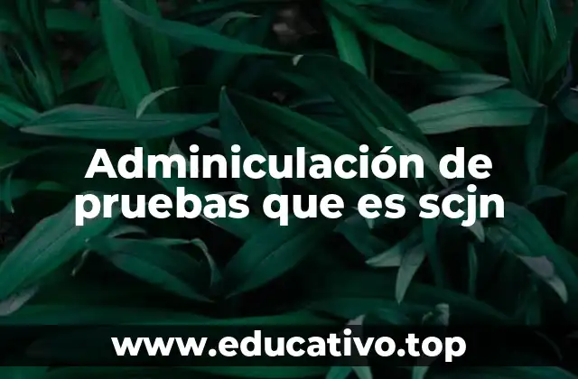 Adminiculación de pruebas que es scjn