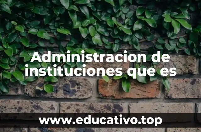 Administracion de instituciones que es
