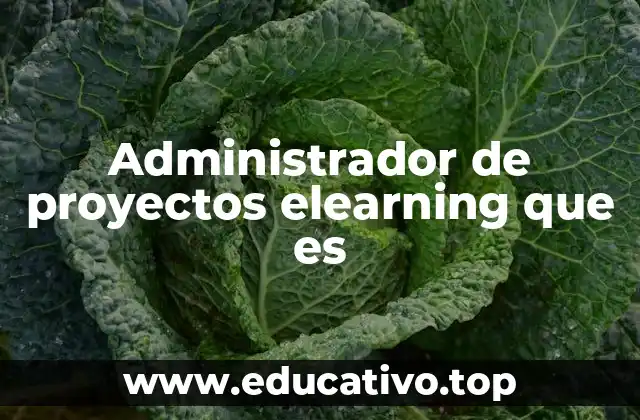 Administrador de proyectos elearning que es