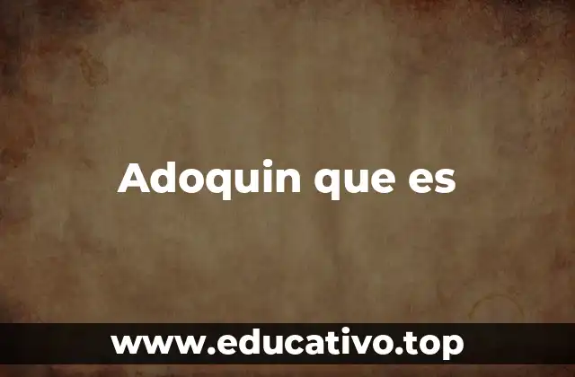 Adoquin que es