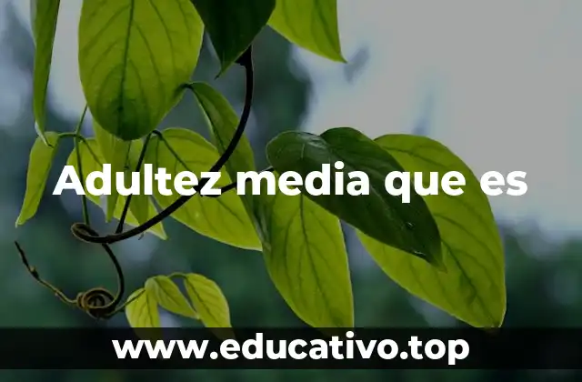 Adultez media que es