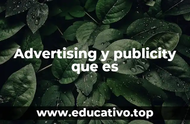 Advertising y publicity que es