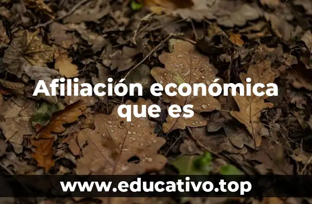 Afiliación económica que es