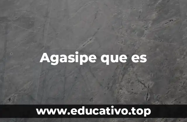 Agasipe que es