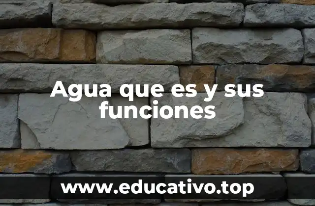 Agua que es y sus funciones