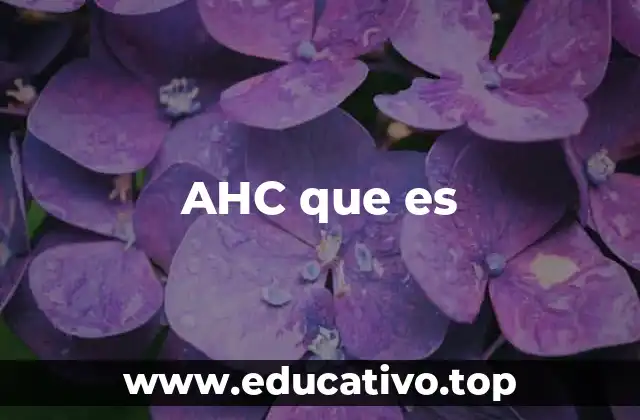 AHC que es