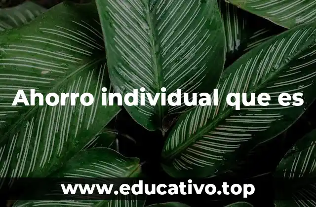 Ahorro individual que es