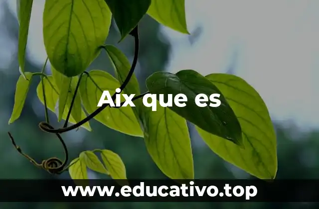 Aix que es