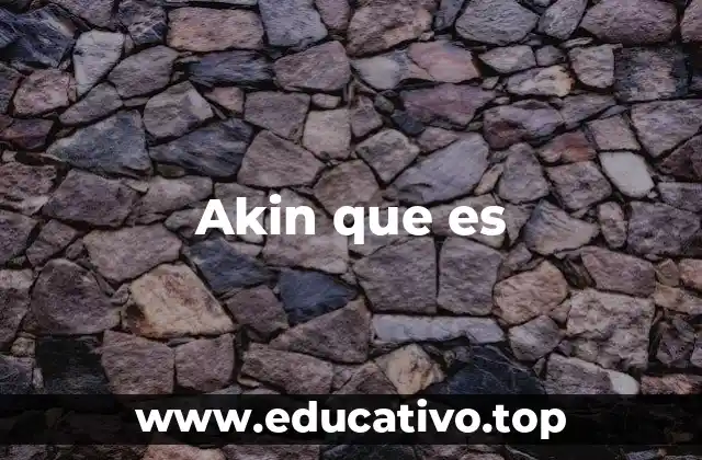 Akin que es