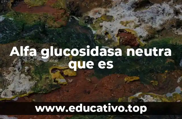 El rol de la alfa glucosidasa en el metabolismo energético