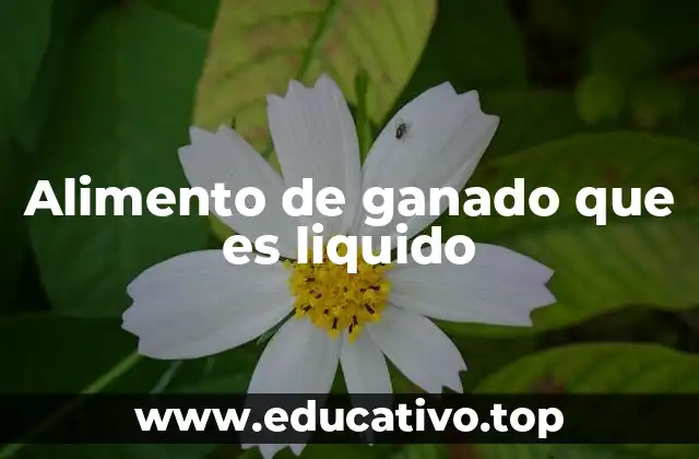 Alimento de ganado que es liquido