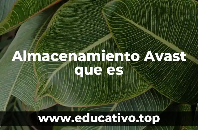 Almacenamiento Avast que es