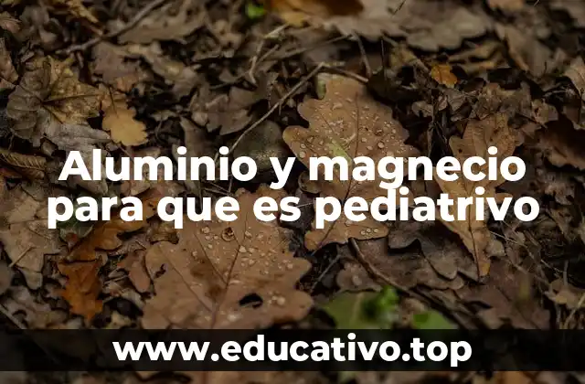 Aluminio y magnecio para que es pediatrivo