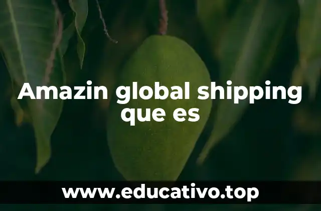 Amazin global shipping que es