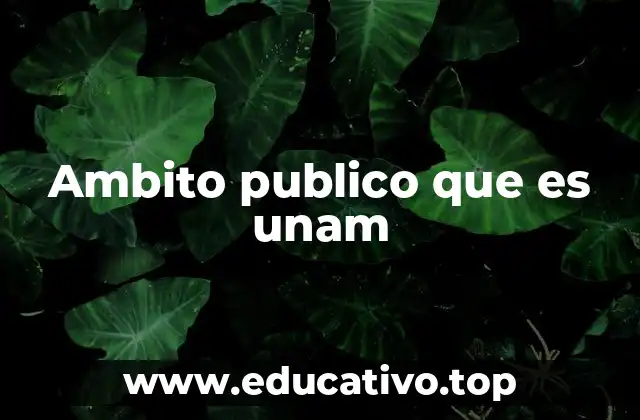 Ambito publico que es unam