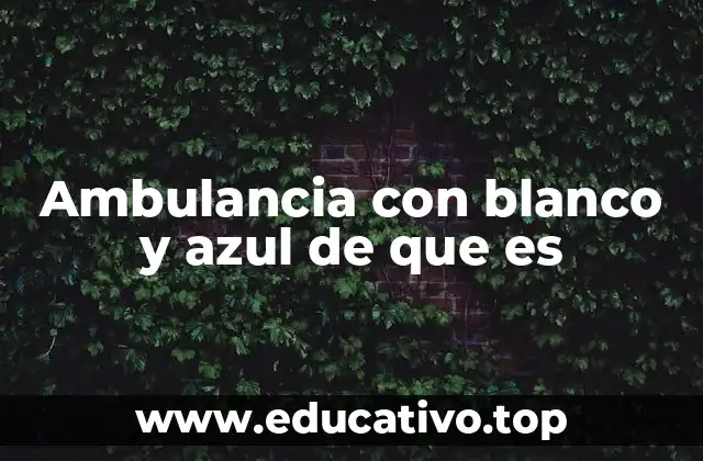 Ambulancia con blanco y azul de que es