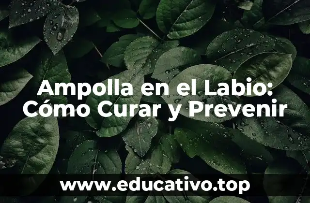 Ampolla en el Labio: Cómo Curar y Prevenir
