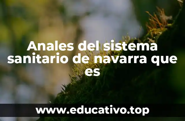 Anales del sistema sanitario de navarra que es