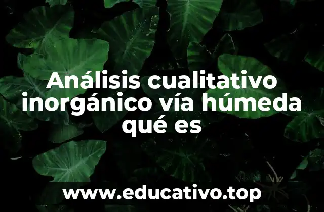 Análisis cualitativo inorgánico vía húmeda qué es